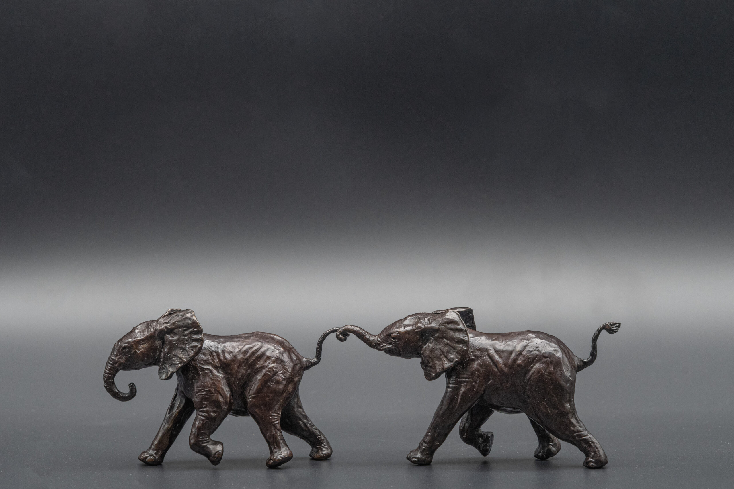 Small Bronze Elephant Calf Pair
