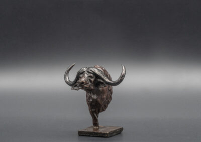 Medium Bronze Buffalo Bust